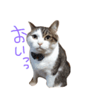 奥田家（個別スタンプ：2）