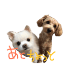 奥田家（個別スタンプ：4）