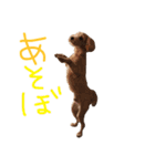 奥田家（個別スタンプ：13）