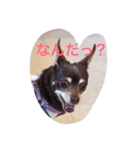 エイトの日々（個別スタンプ：4）
