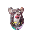 エイトの日々（個別スタンプ：5）