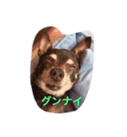 エイトの日々（個別スタンプ：7）