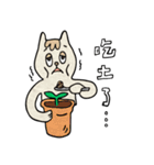 meow room 2.0（個別スタンプ：12）