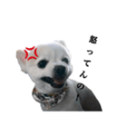 ぽぽ（個別スタンプ：3）