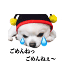 ぽぽ（個別スタンプ：8）