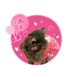 NA ＆ SHUANG（個別スタンプ：3）