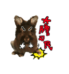 NA ＆ SHUANG（個別スタンプ：11）