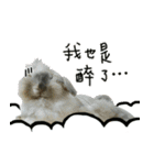 NA ＆ SHUANG（個別スタンプ：14）