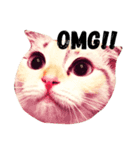 ねこのちぃちゃん（個別スタンプ：1）