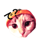 ねこのちぃちゃん（個別スタンプ：3）