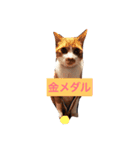 猫3兄妹（個別スタンプ：3）