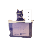 猫3兄妹（個別スタンプ：8）