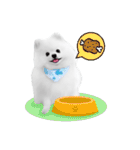 Power Pomeranian (ENG)（個別スタンプ：26）