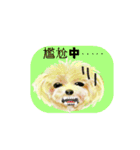 happy money（個別スタンプ：17）