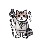 ふつうの猫生活（個別スタンプ：3）