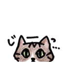 ふつうの猫生活（個別スタンプ：4）