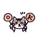 ふつうの猫生活（個別スタンプ：5）