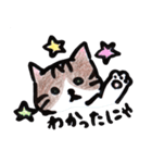 ふつうの猫生活（個別スタンプ：6）
