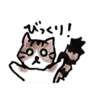 ふつうの猫生活（個別スタンプ：10）