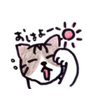 ふつうの猫生活（個別スタンプ：11）