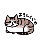 ふつうの猫生活（個別スタンプ：13）