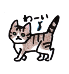 ふつうの猫生活（個別スタンプ：16）