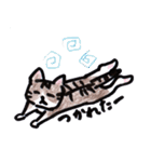 ふつうの猫生活（個別スタンプ：18）