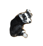 子猫と老犬（個別スタンプ：2）