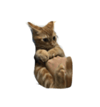子猫と老犬（個別スタンプ：6）