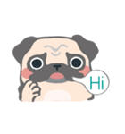 pugdogg（個別スタンプ：1）