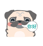 pugdogg（個別スタンプ：2）