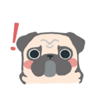 pugdogg（個別スタンプ：6）
