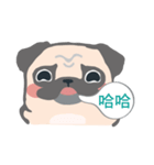 pugdogg（個別スタンプ：7）