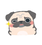 pugdogg（個別スタンプ：9）
