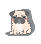 pugdogg（個別スタンプ：13）