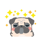 pugdogg（個別スタンプ：24）