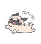 pugdogg（個別スタンプ：25）