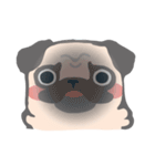 pugdogg（個別スタンプ：26）