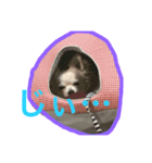 チワワのそら（個別スタンプ：8）