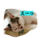 ミクさん（個別スタンプ：6）