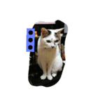 ミクさん（個別スタンプ：7）