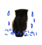 黒猫クロエだよ！（個別スタンプ：1）
