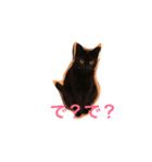 黒猫クロエだよ！（個別スタンプ：2）