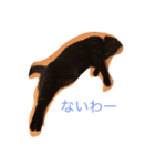 黒猫クロエだよ！（個別スタンプ：5）