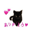 黒猫クロエだよ！（個別スタンプ：8）