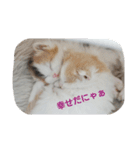 Holmes Family（個別スタンプ：11）