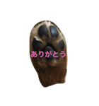 だいすきいちびー2（個別スタンプ：5）