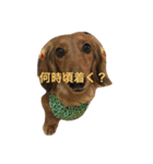 だいすきいちびー2（個別スタンプ：6）