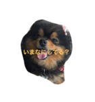 だいすきいちびー2（個別スタンプ：8）