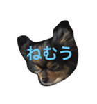 だいすきいちびー2（個別スタンプ：13）